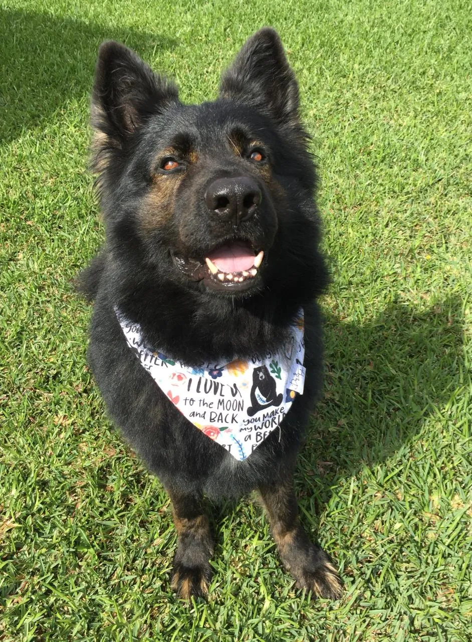 You Make My World A Better Place Dog Bandana