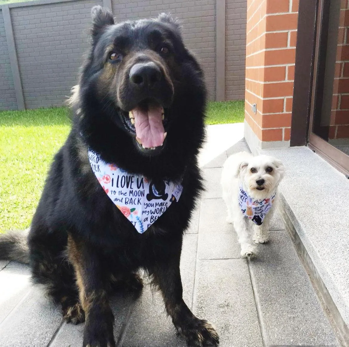You Make My World A Better Place Dog Bandana